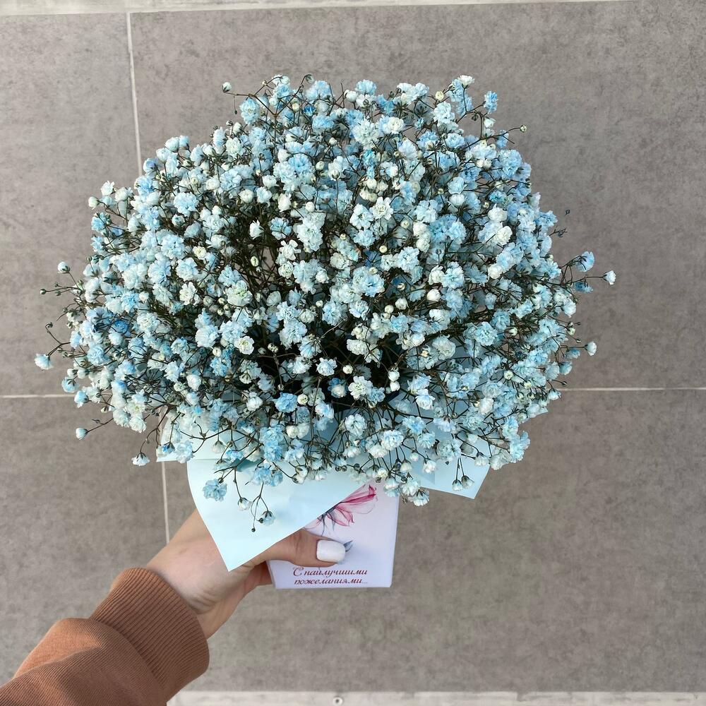 Коробочка с гипсофилой, Цветы и подарки в Симферополе, купить по цене ...