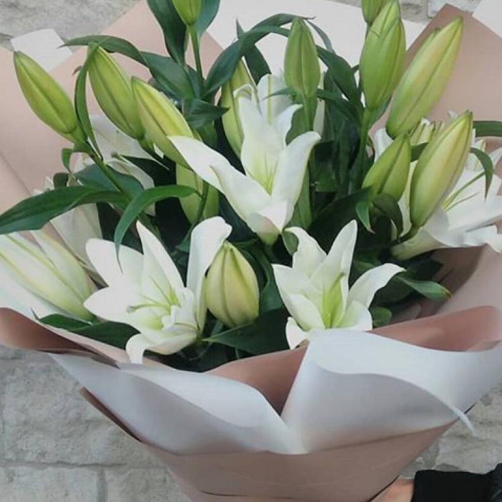 Lily
