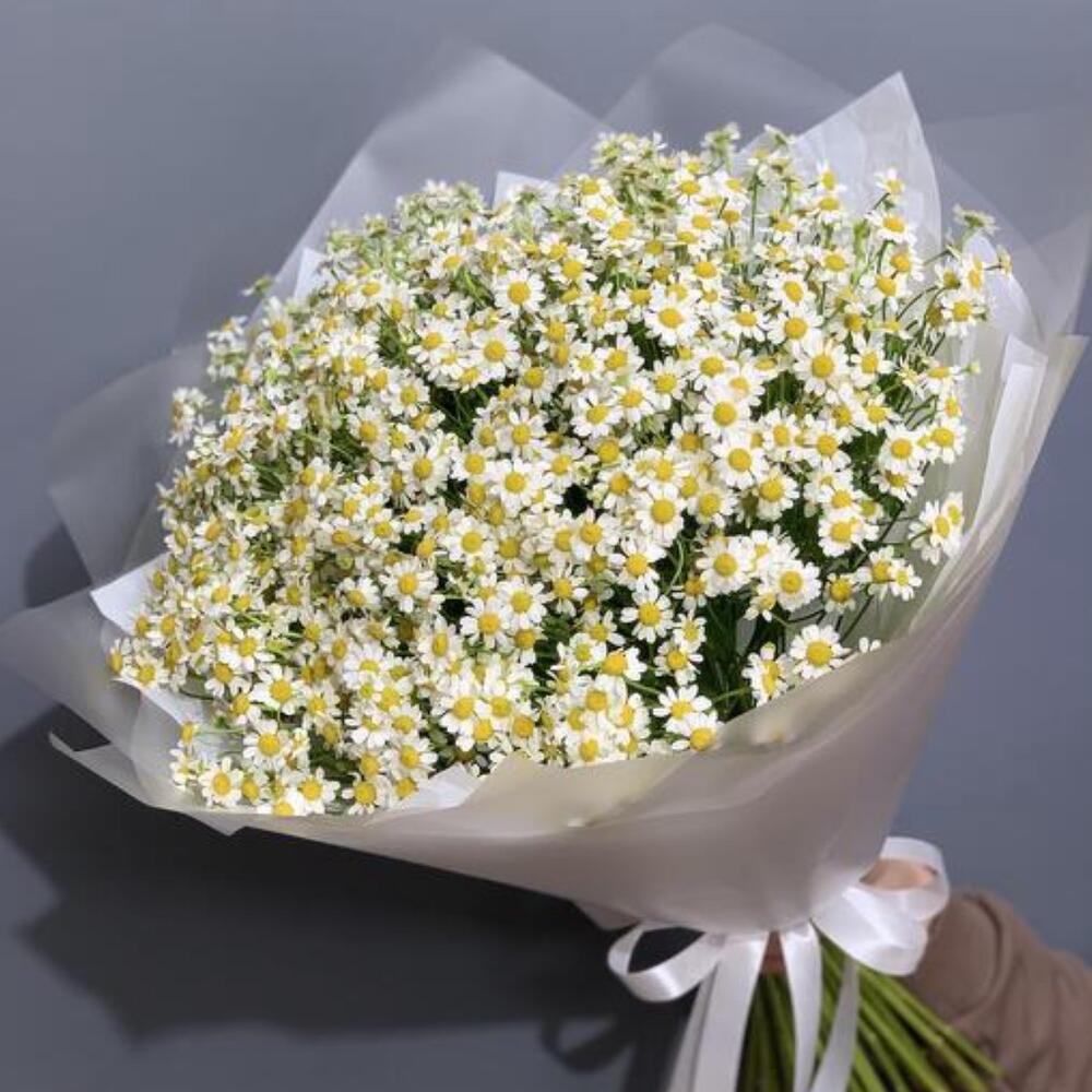 Букет из ромашек (35 шт)
