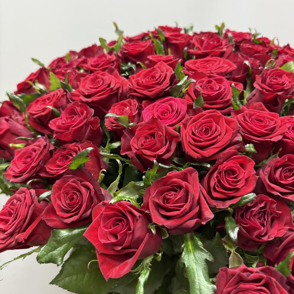 101 бордовая Роза 🌹 шикарный букет 💐
