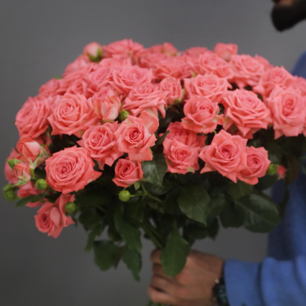Rose Eclat 💖