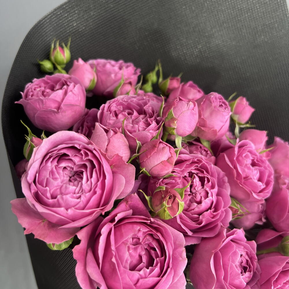 Монобукет кустовая пионовидная Роза Мисти Баблс💕💕💕