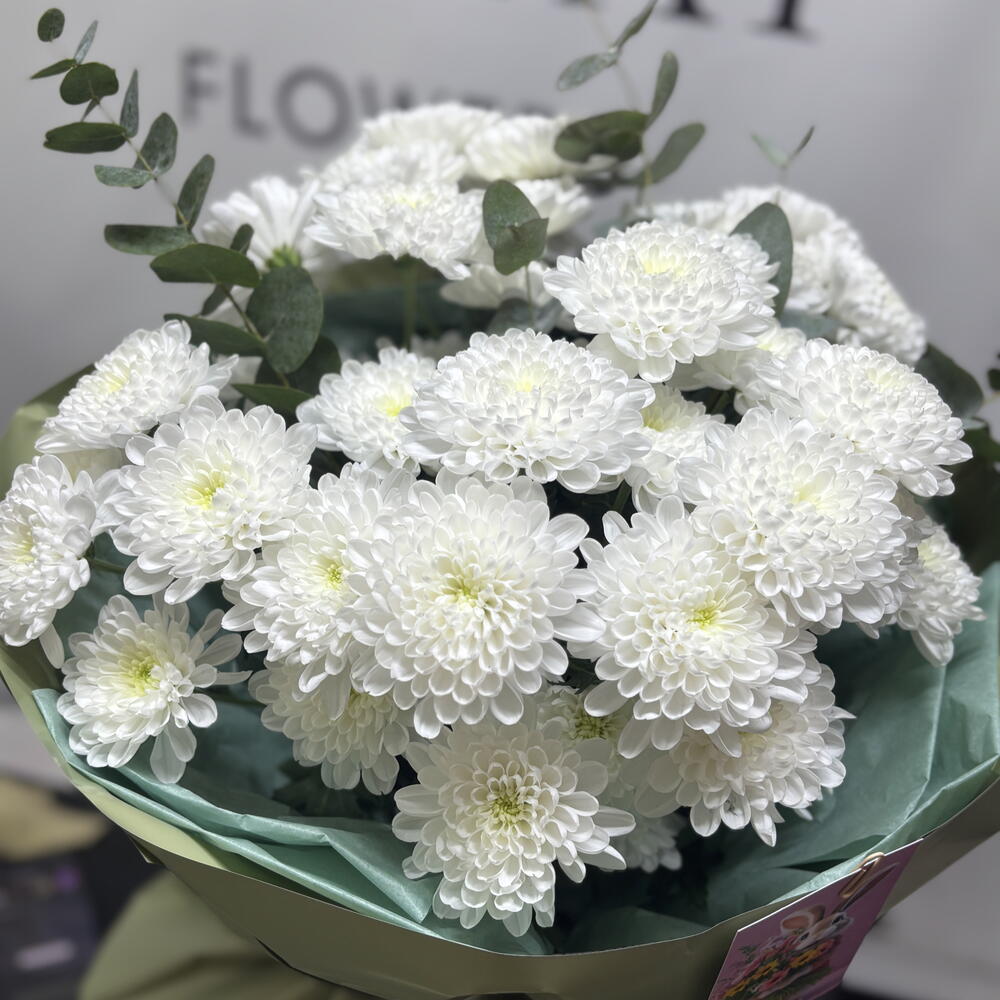 white bush chrysanthemum