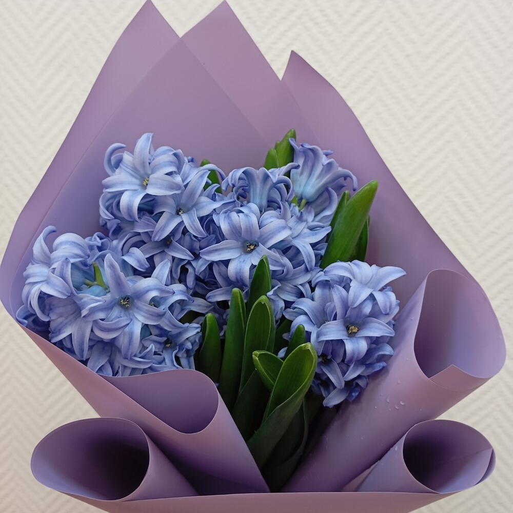Букет из 5 Гиацинтов  🌸🌸🌸