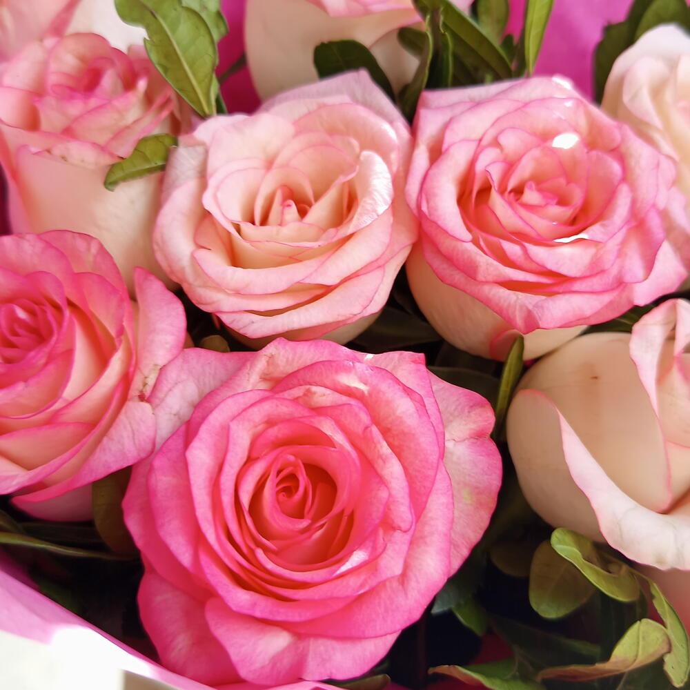 Монобукет Розовая роза 💐💕