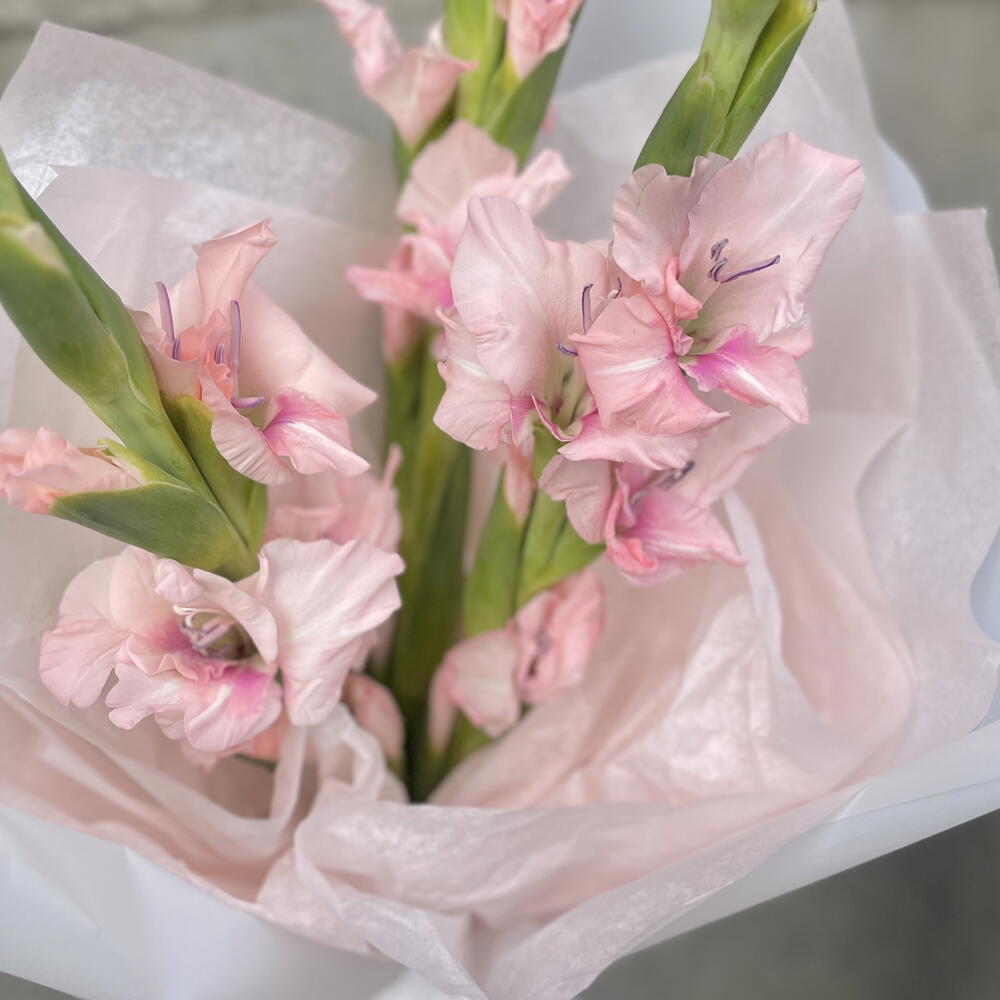 Монобукет нежных гладиолусов🎀