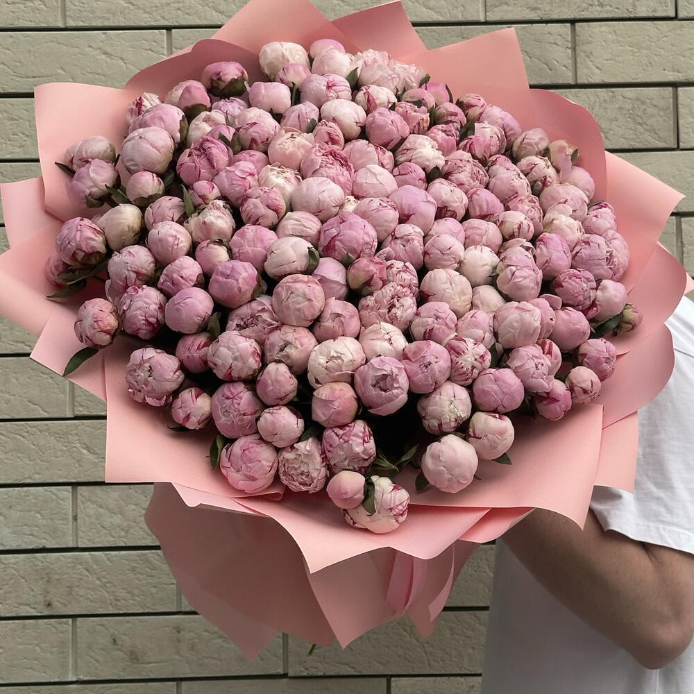 101 ПИОН