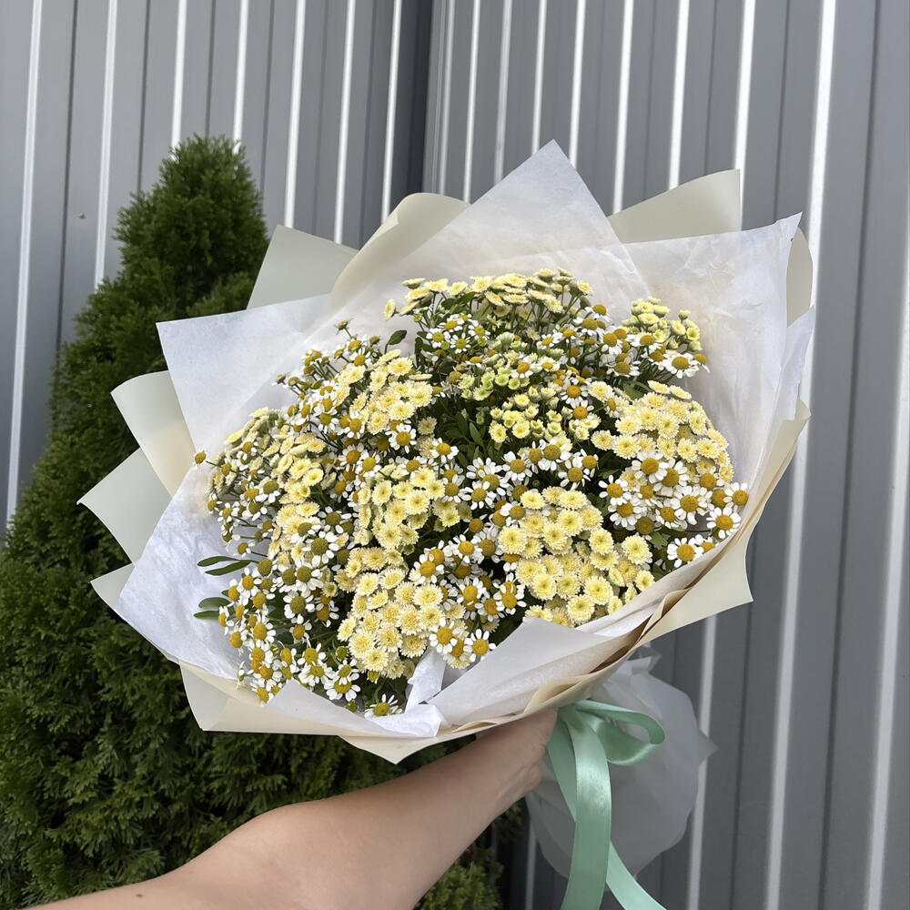 Полевой букет 💛