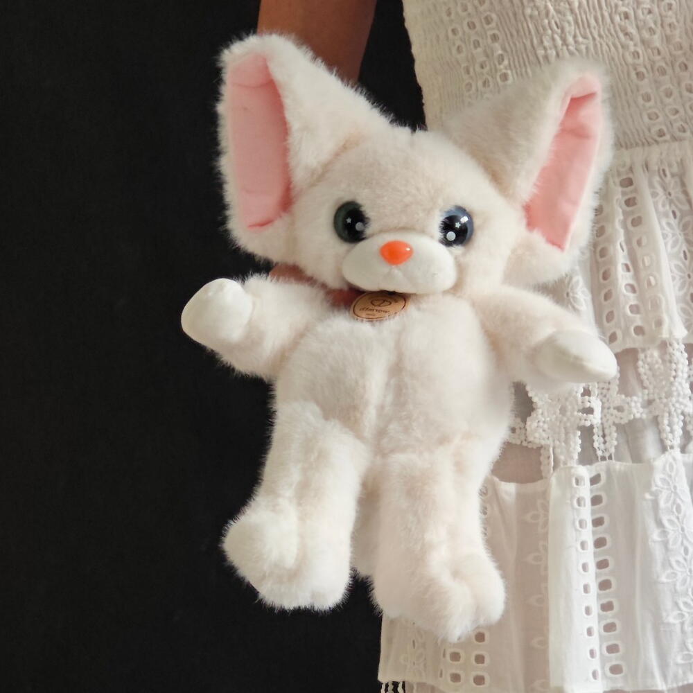 Кот белый