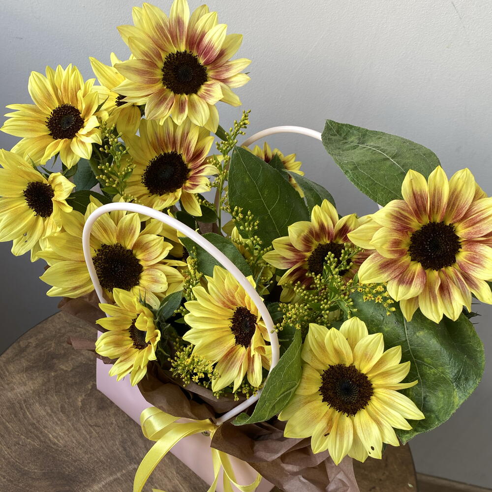 Солнечные подсолнухи 🌻