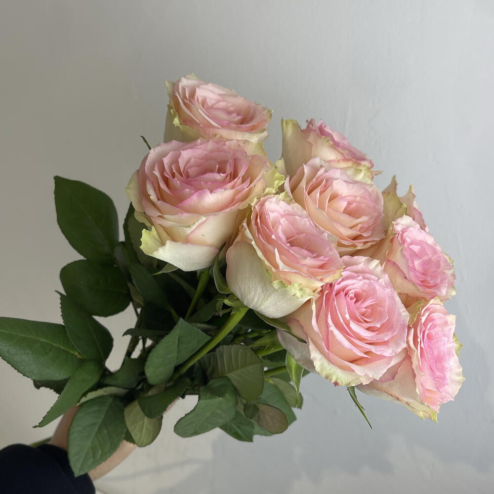 Розы нежные 🌸9