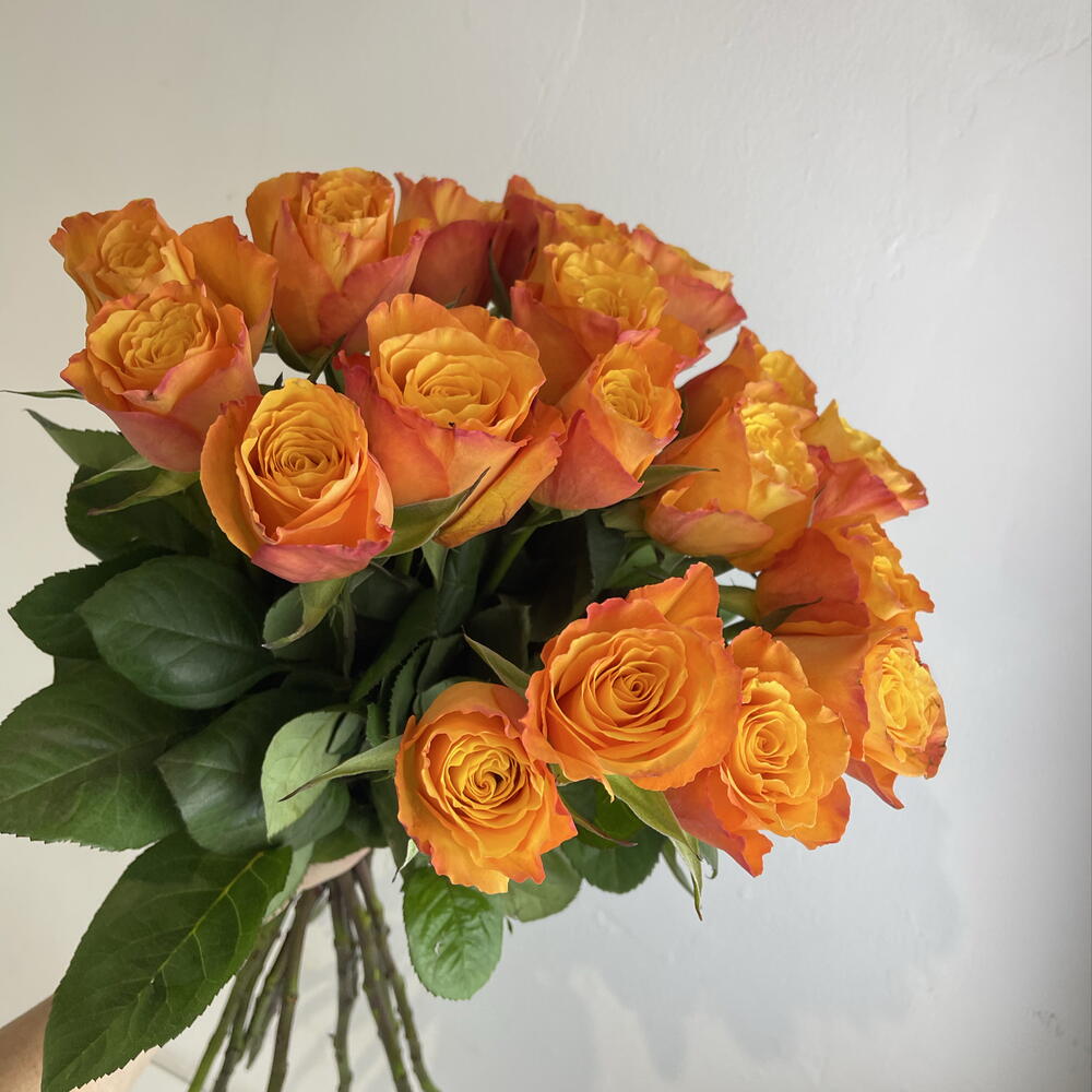 Розы рыжие 🧡19