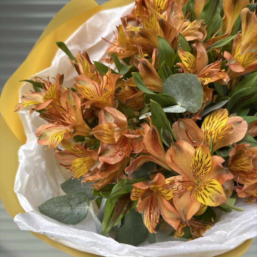 Букет-комплимент 🍊из апельсиновых альстромерий