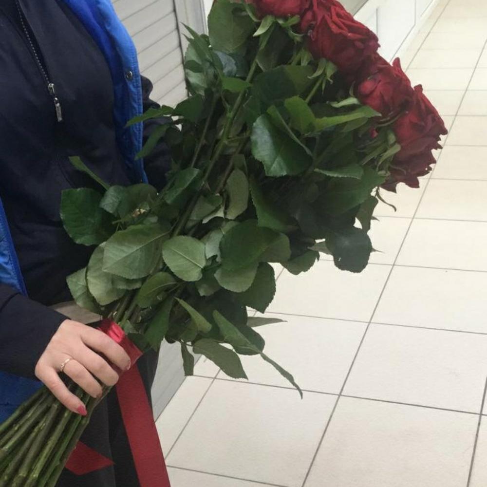 Ред найоми 70см