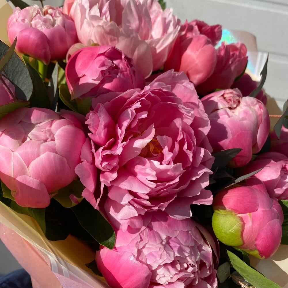 Пионовый фэшн 🌸