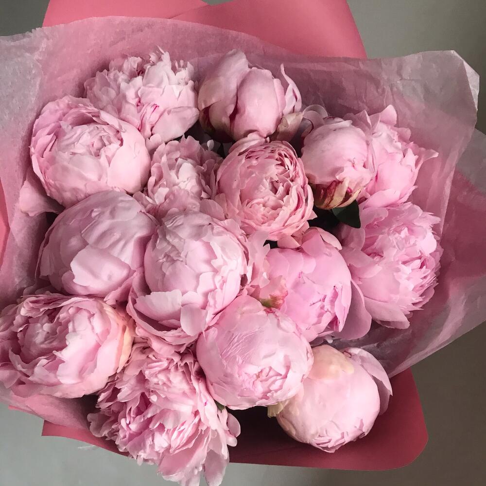 Букет из 15 пионов «Pink 15»