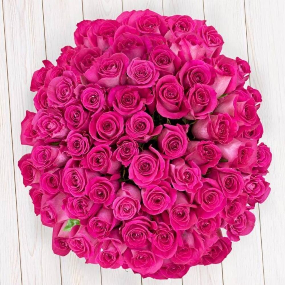Rosa 51 piezas