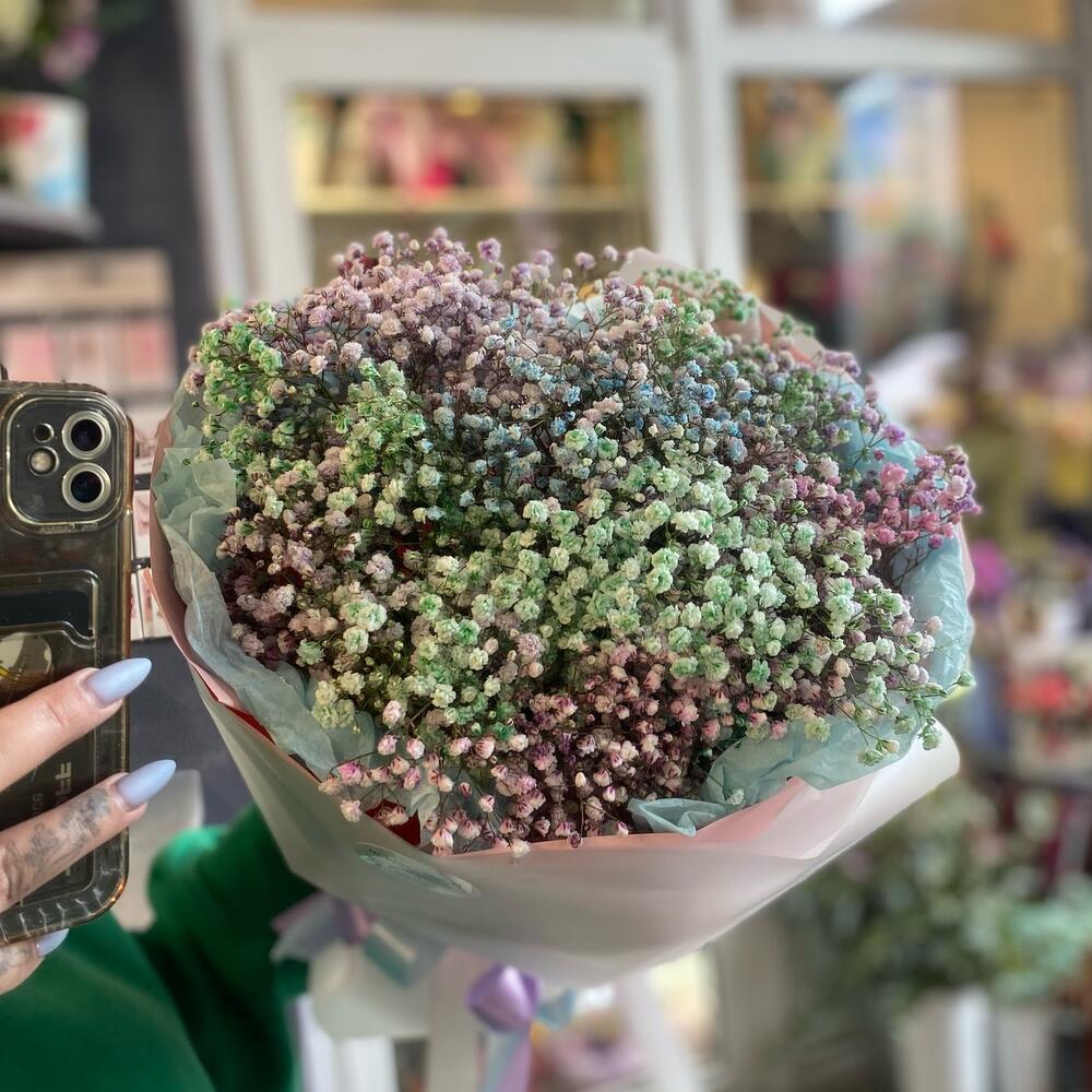 Радужная Гипсофила