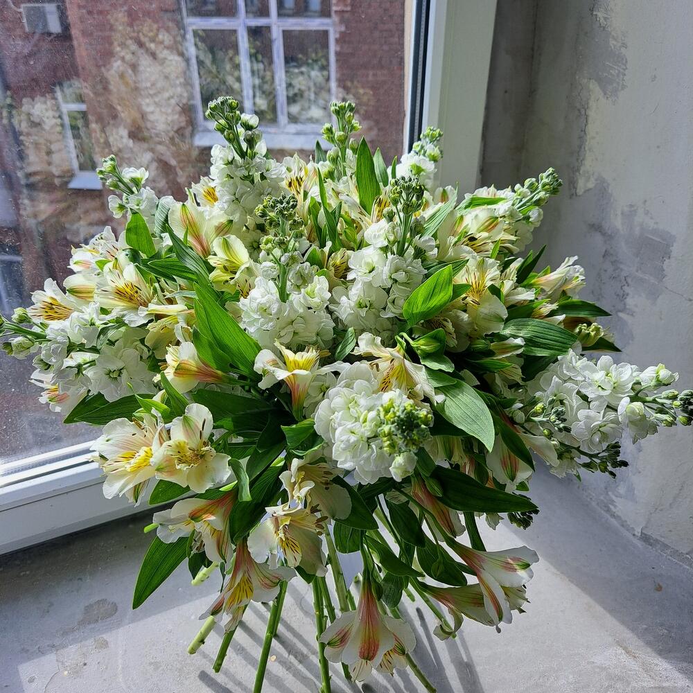 Mattiola and Alstroemeria