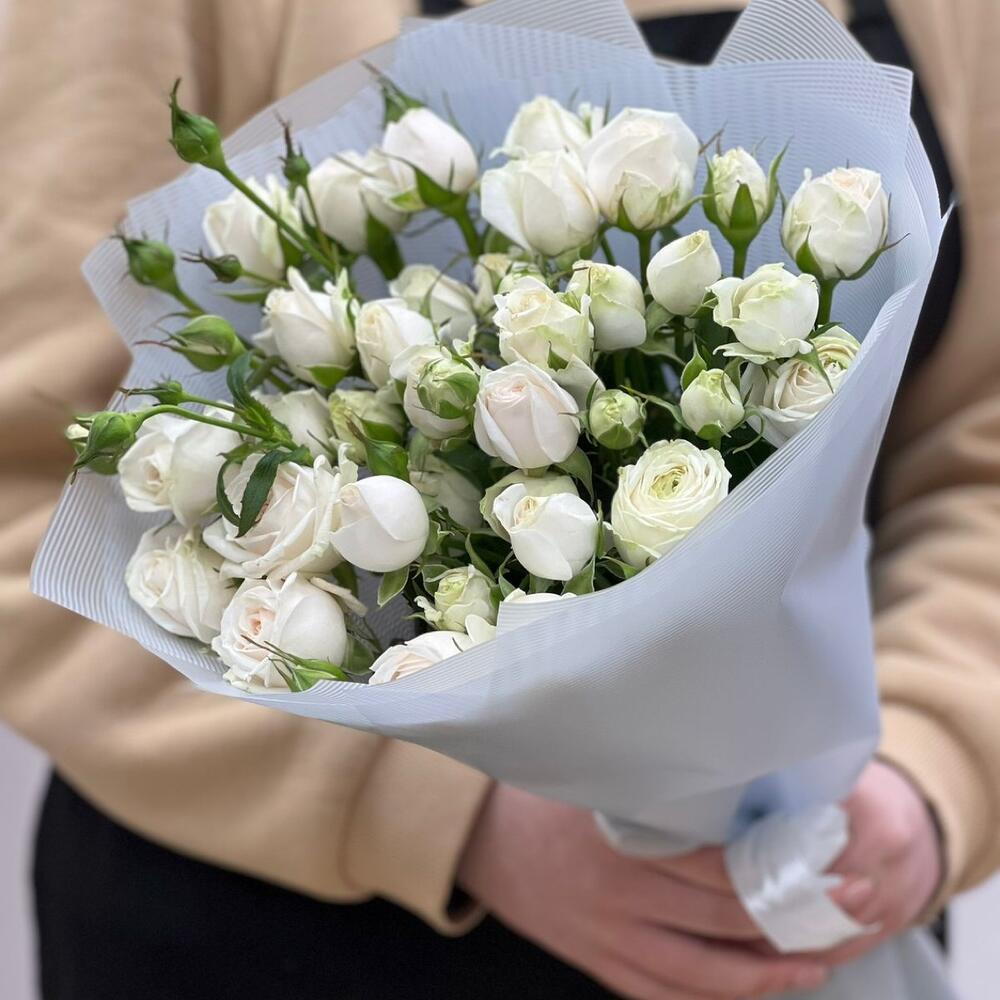 Эксклюзив сенсейшен