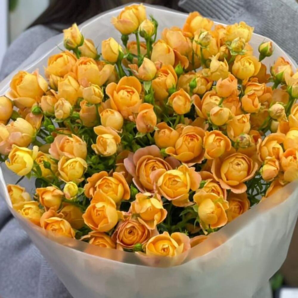Кустовая роза