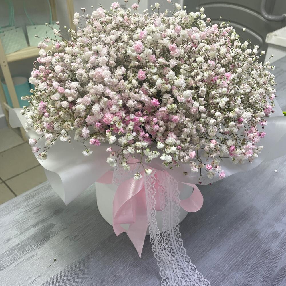 The Gypsophila cloud