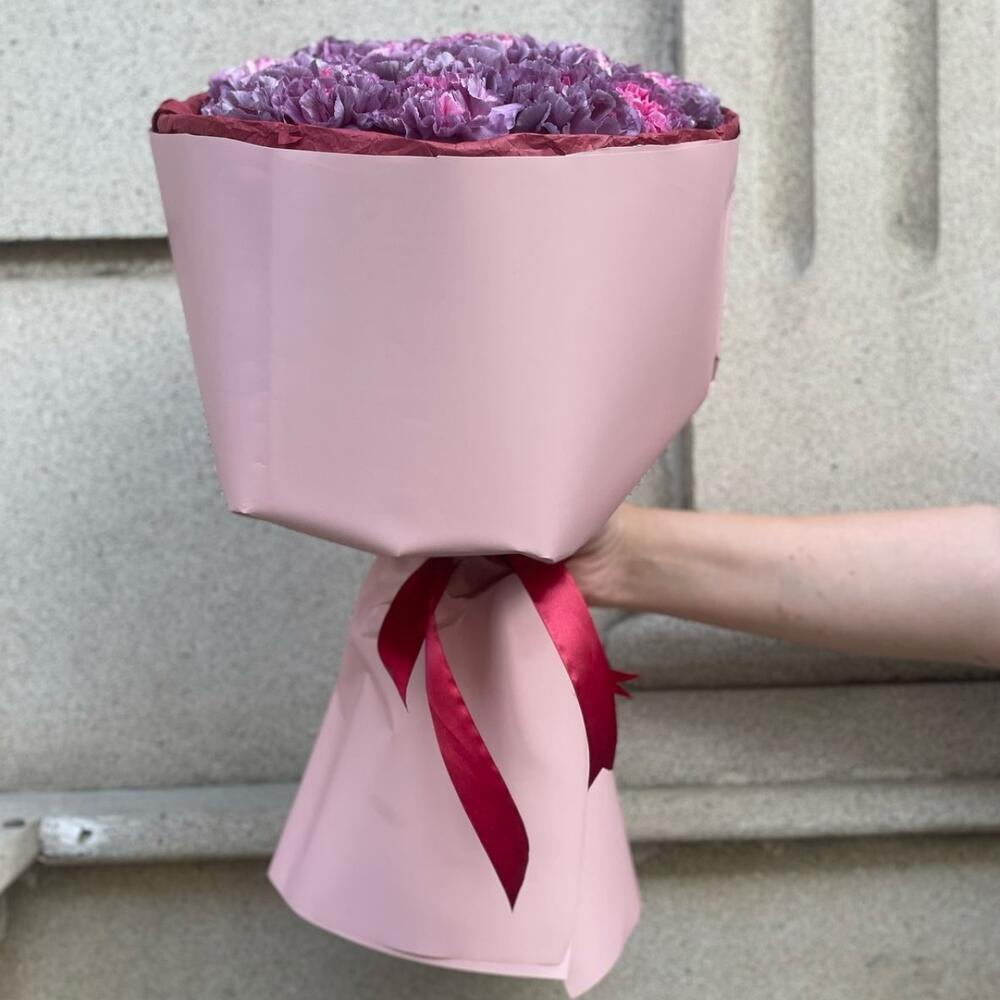 Carnation