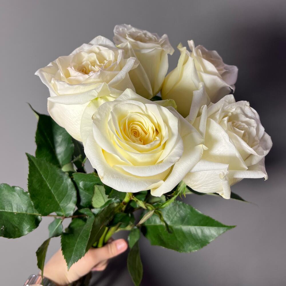 🌹 Роза Кендилайт 5 шт
