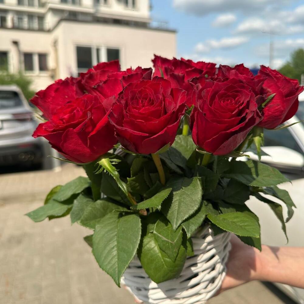 Корзина роз. Размер S