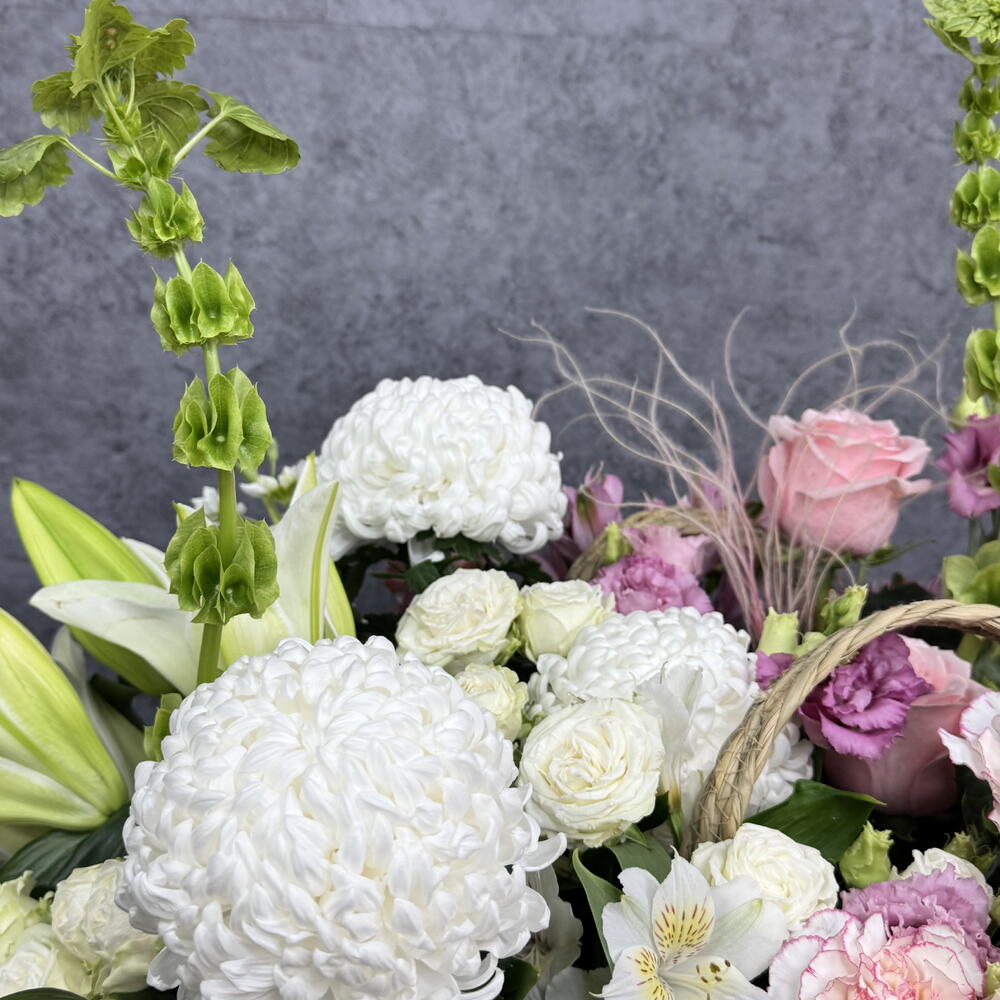 BlancRose
