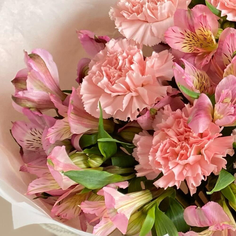 Букет самых стойких цветов🌸💗🌿(альстромерия, диантус сортовой)