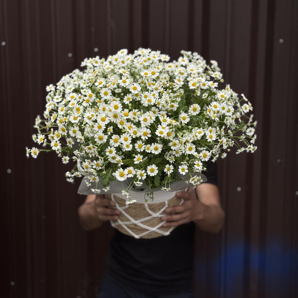 «Майская любовь»