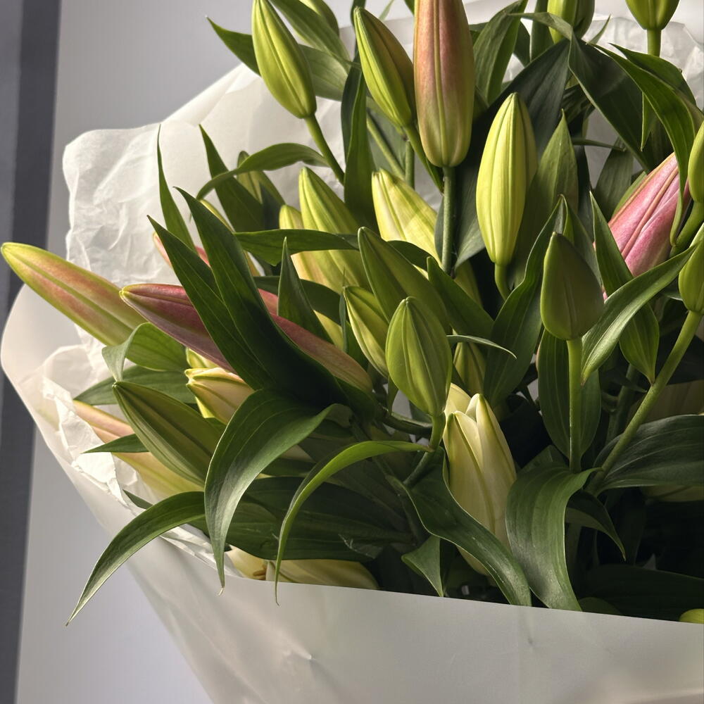 Букет из лилии 💐