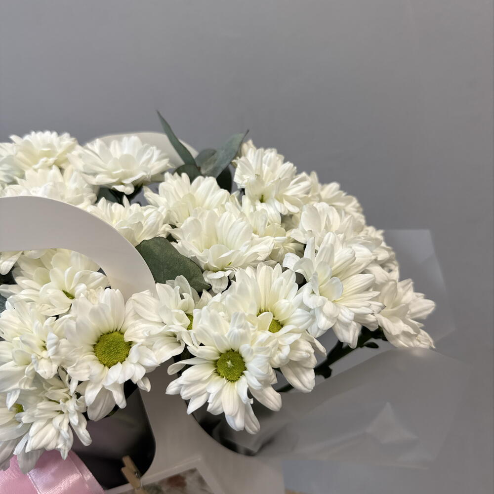Композиция 12500