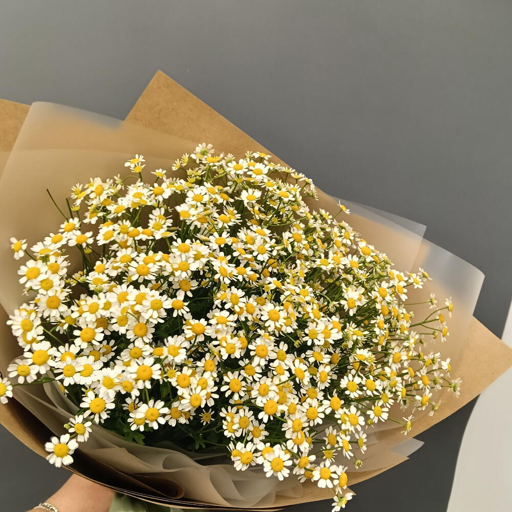 Ромашки 15 шт💐