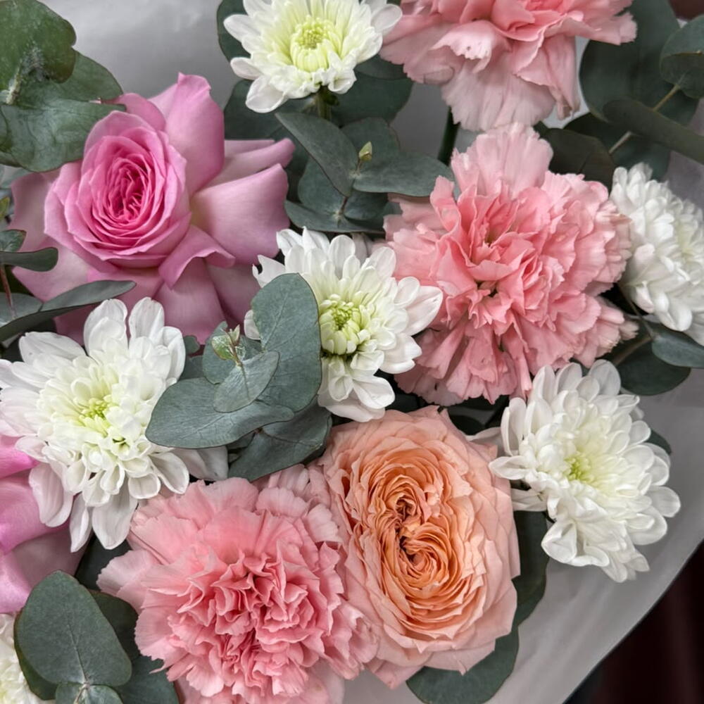 Pink Bloom