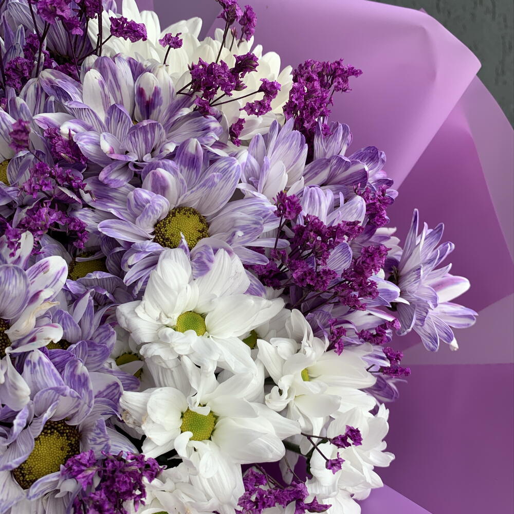 Ромашки фиолетовые 💜