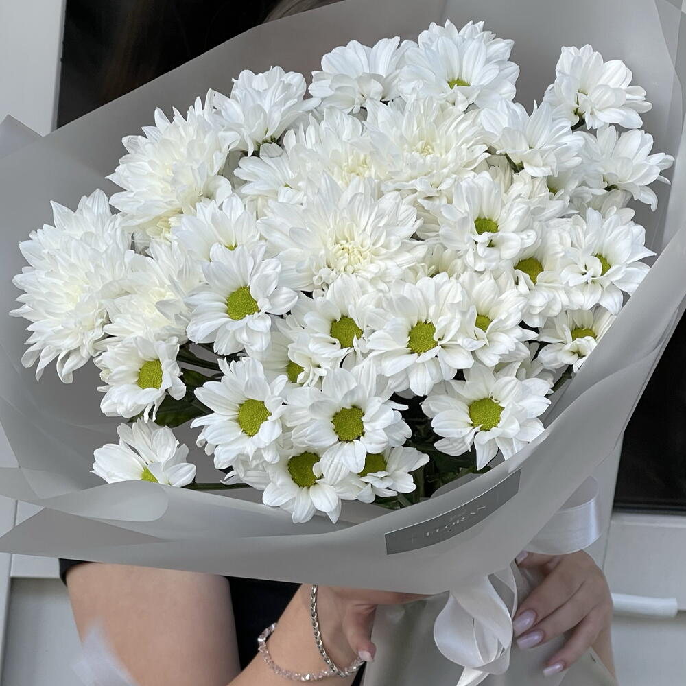Микс хризантемы