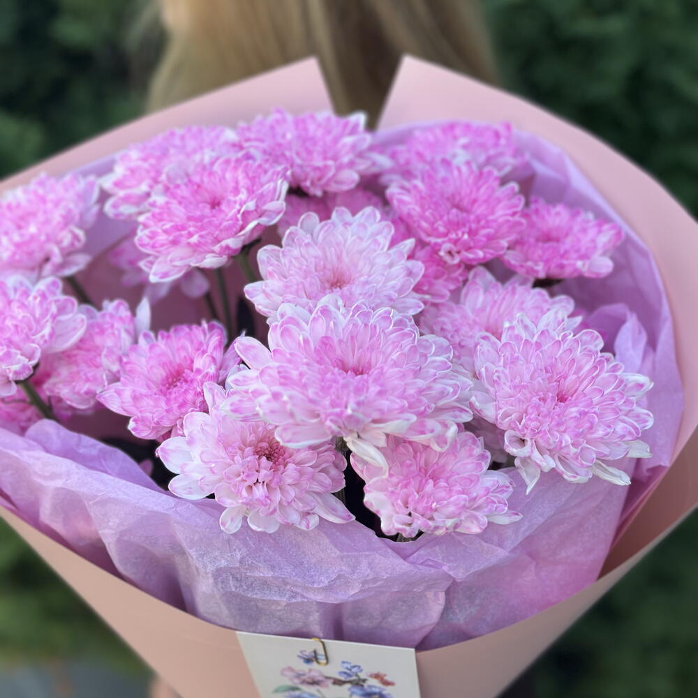 Розовые хризантемы
