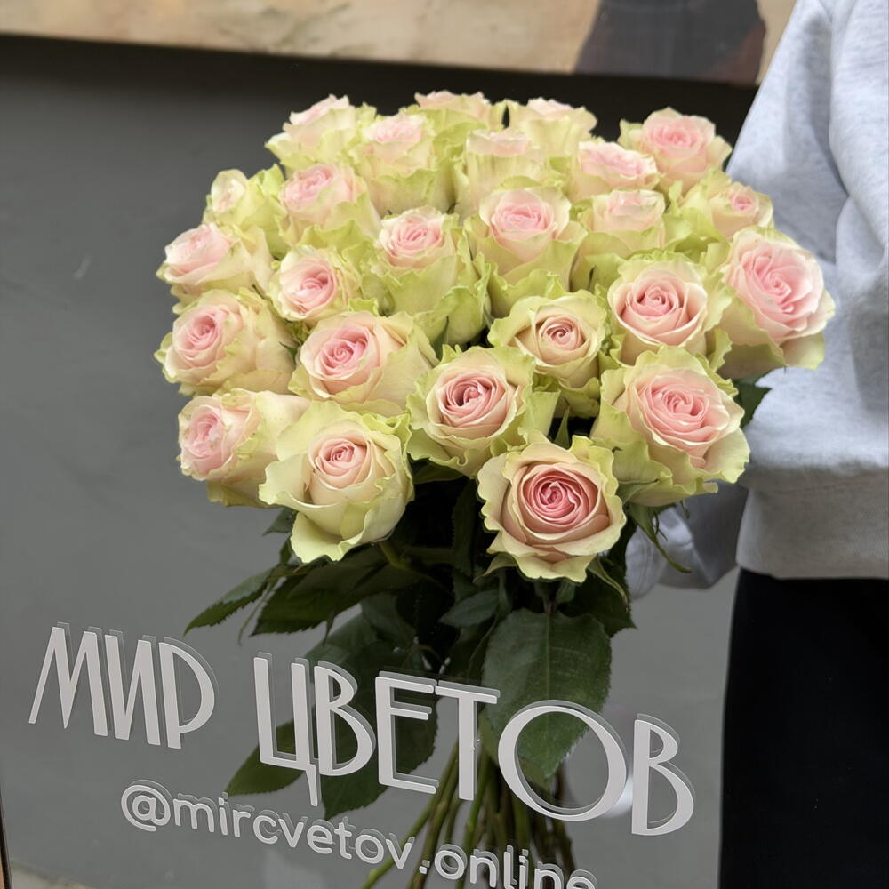 Моно | 25 роз 60см