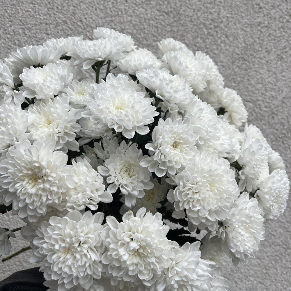 Букет из хризантем