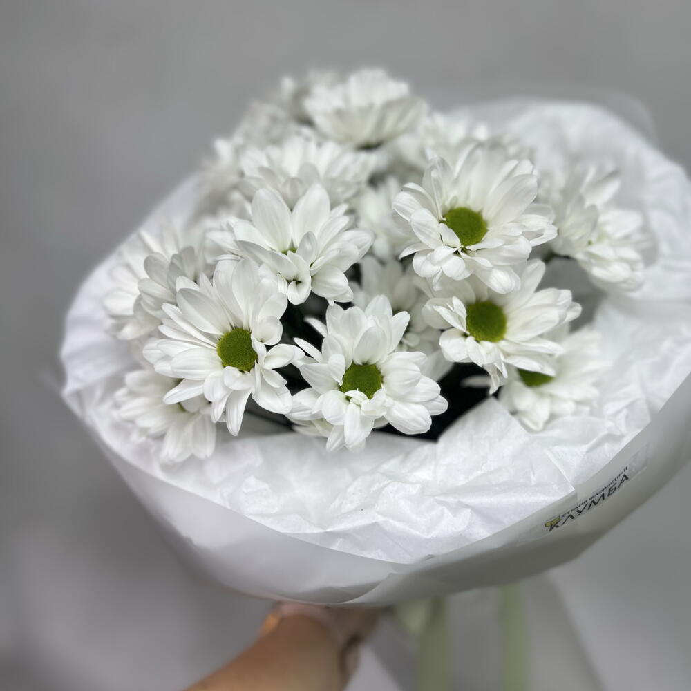 Букет «Ромашки»