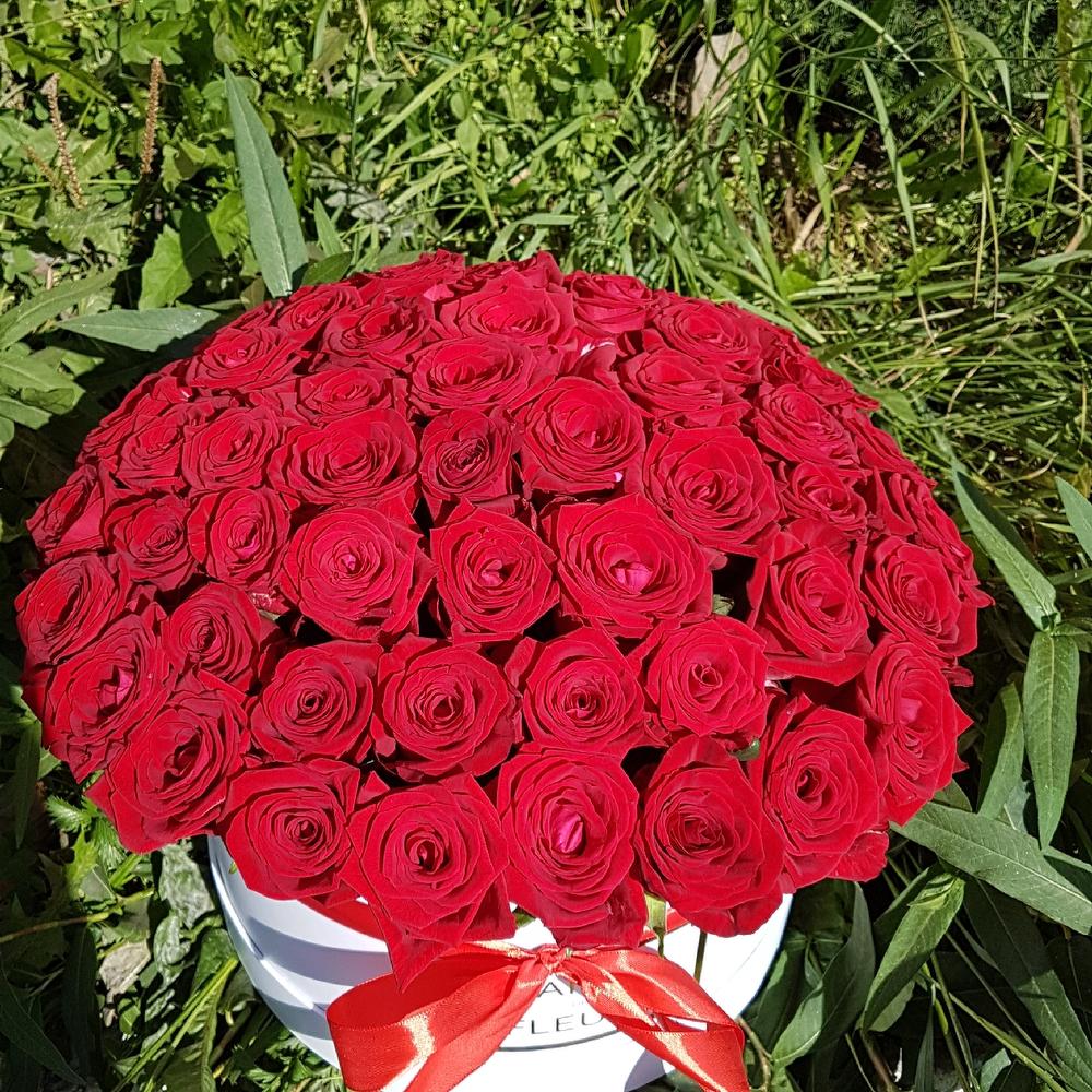 51 Роза  в коробке