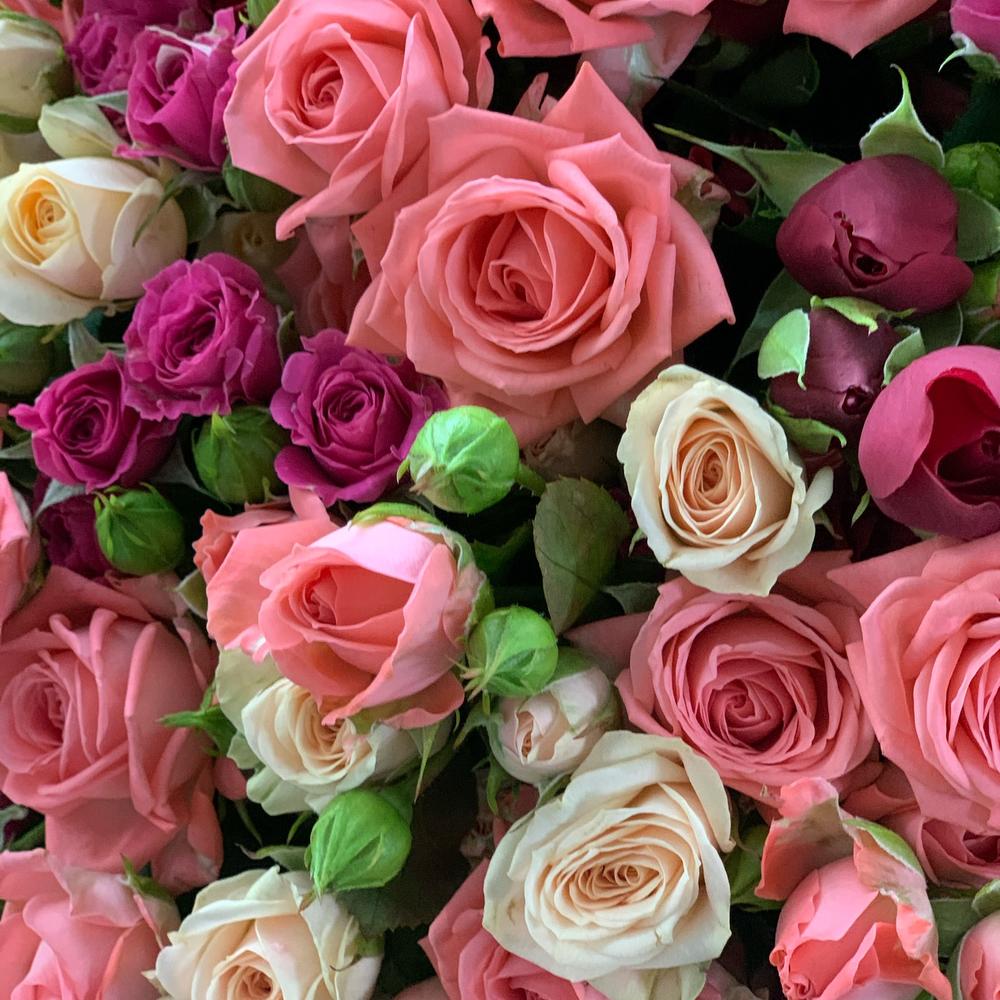 Million roses