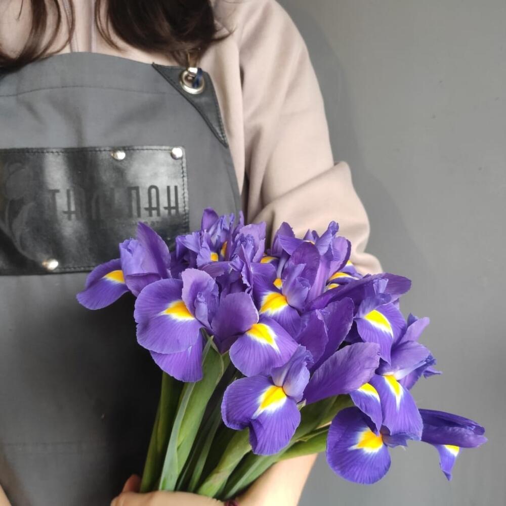 Ирисы синие Blue