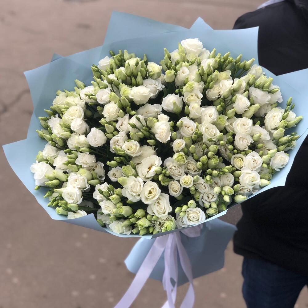 Эустома Белая