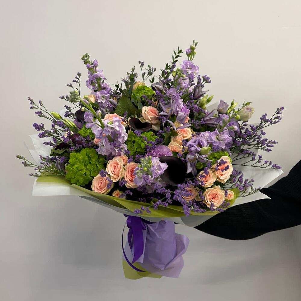 Viola
