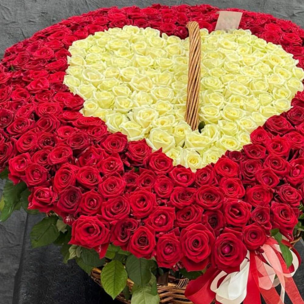 Корзина из 301 розы