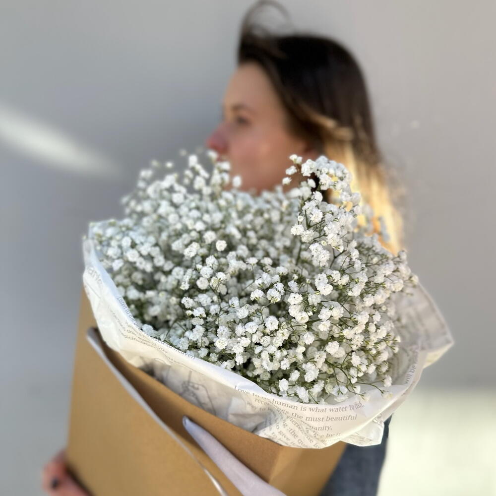 Countess Gypsophila (in a craft package)