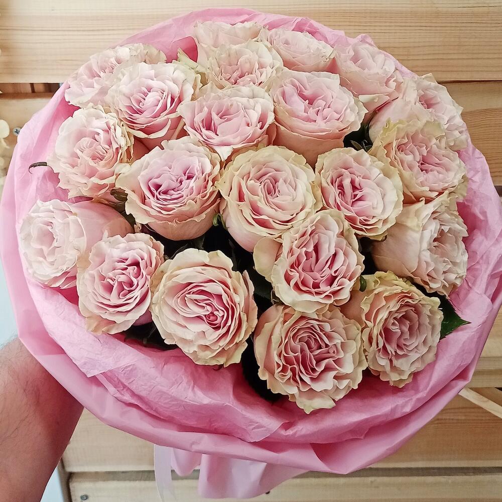 Ароматная роза Pink